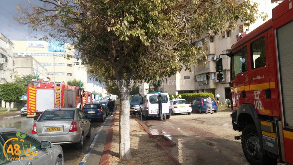 fire in lud shoqq (11).jpg